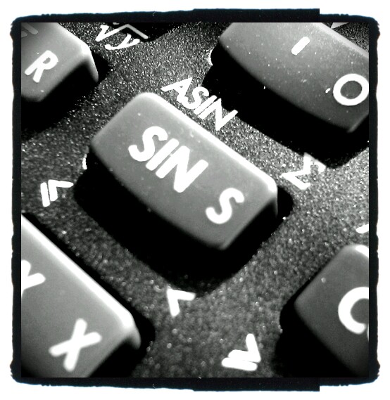 Bestand:Vectrun Picture.jpg