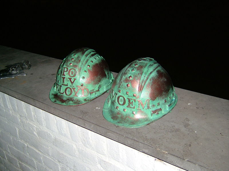Bestand:Copperhelmet.JPG