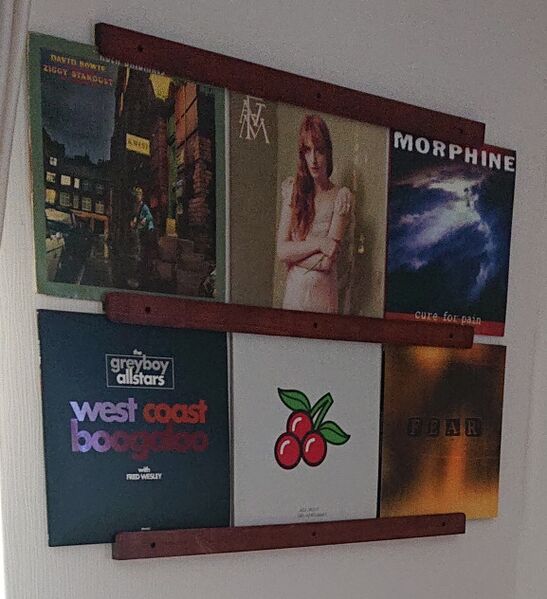 Bestand:Platenwand Picture.jpg