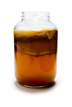 Introductie tot Kombucha - 2013.jpg
