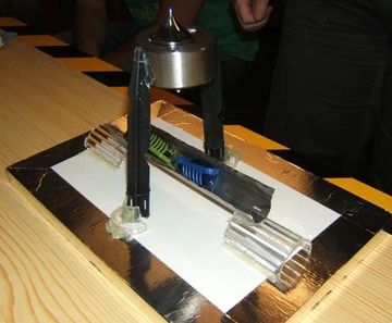 Battle of the Bugs Picture.jpg