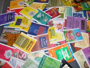 Theeflood Picture.jpg