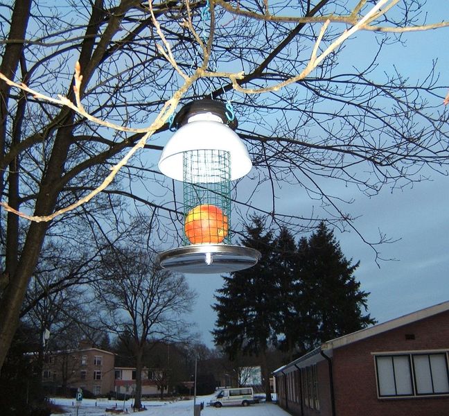 Bestand:Avondvoederhuisje Picture.jpg