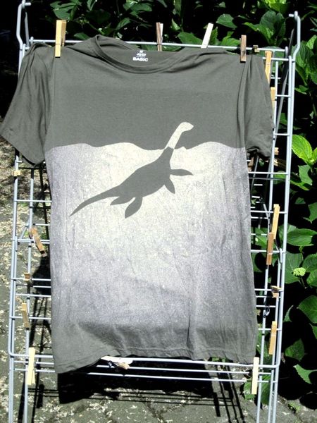 Bestand:Blijmetbleek plesiogroen2 sized.JPG